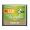  Apacer Photo Steno Pro III Compactflash 133X 16GB Memory Card 